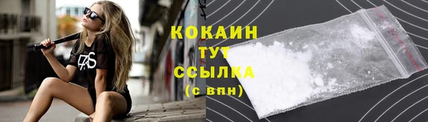 прущий лед Богданович