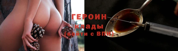прущий лед Богданович