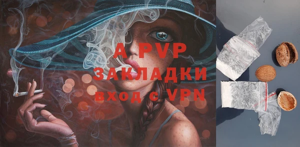 прущий лед Богданович