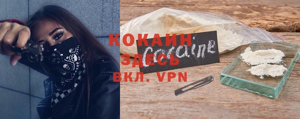 прущий лед Богданович