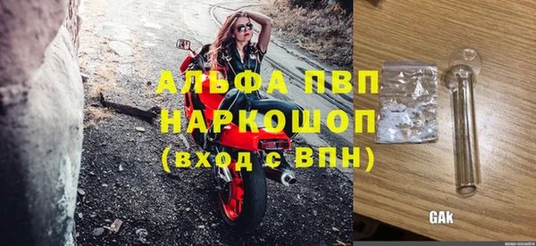 прущий лед Богданович