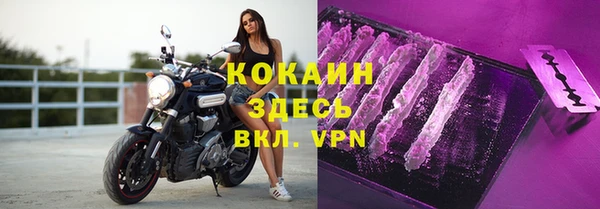 прущий лед Богданович