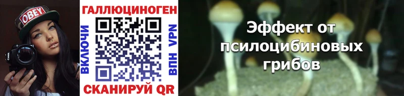 Галлюциногенные грибы прущие грибы  Велиж 
